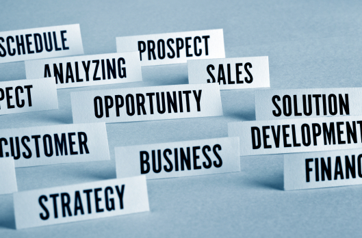 Digital Cacao - Consultancy